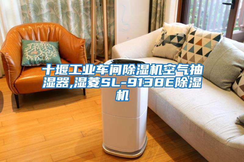 十堰工業車間除濕機空氣抽濕器,濕菱SL-9138E除濕機