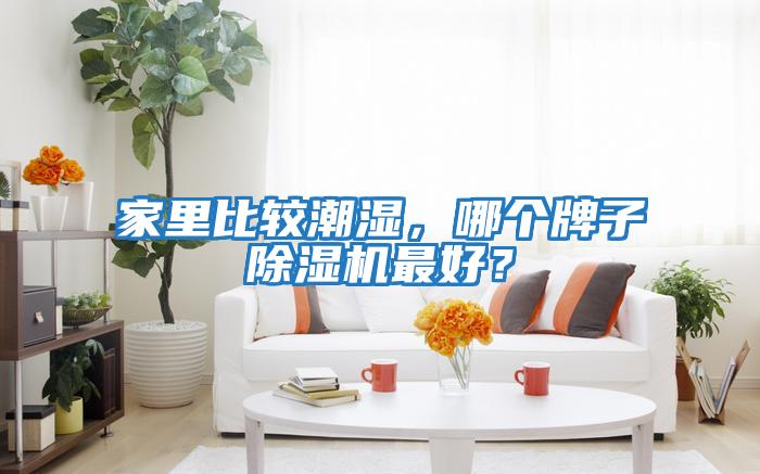 家里比較潮濕，哪個牌子除濕機最好？