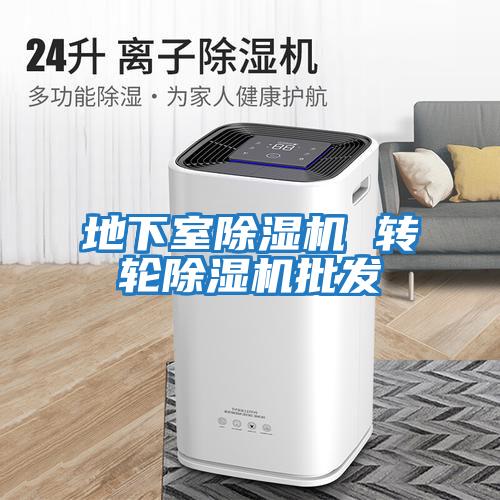 地下室除濕機 轉輪除濕機批發