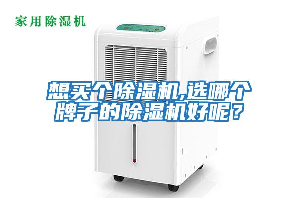 想買個除濕機,選哪個牌子的除濕機好呢?