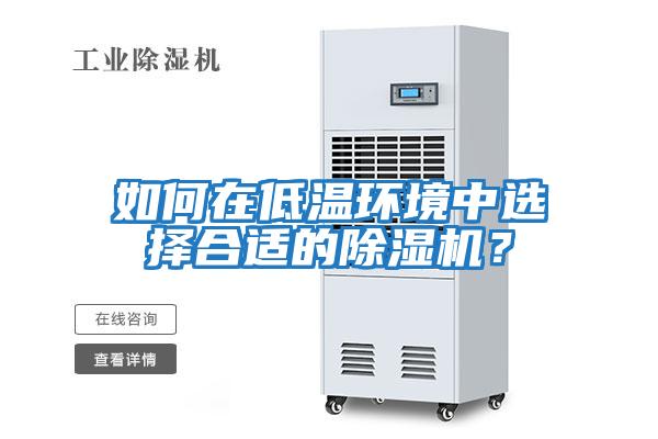 如何在低溫環境中選擇合適的除濕機？