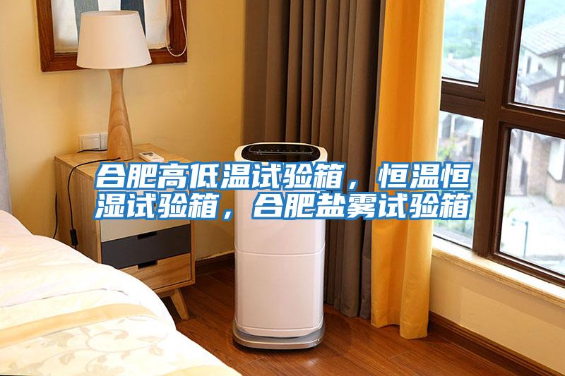 合肥高低溫試驗箱，恒溫恒濕試驗箱，合肥鹽霧試驗箱