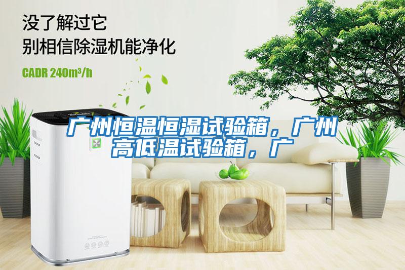 廣州恒溫恒濕試驗箱,廣州高低溫試驗箱,廣