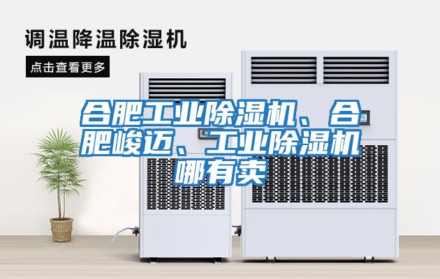 合肥工業除濕機、合肥峻邁、工業除濕機哪有賣