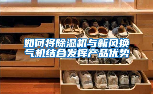 如何將除濕機與新風換氣機結合發(fā)揮產品優(yōu)勢