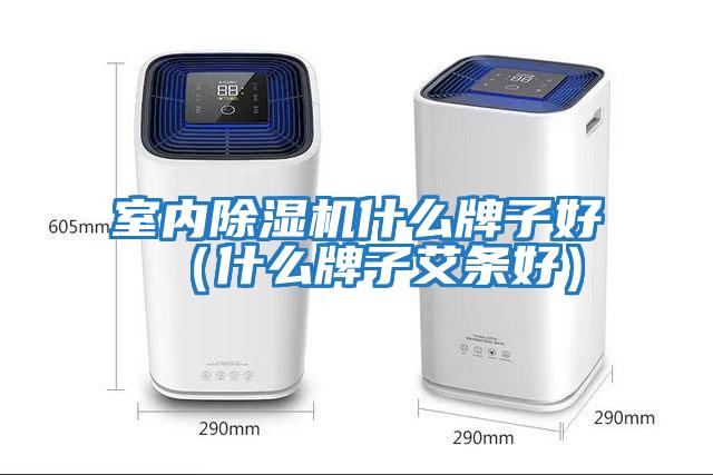 室內除濕機什么牌子好（什么牌子艾條好）