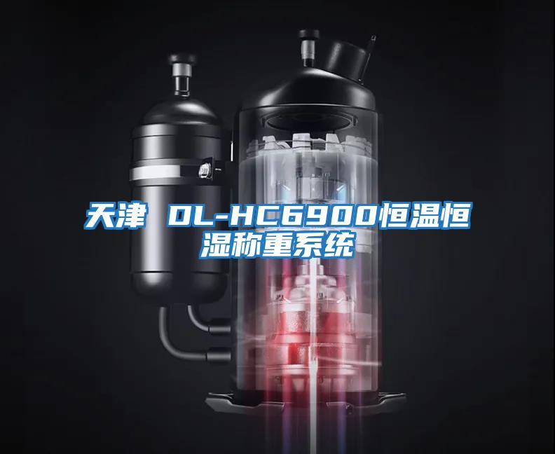 天津 DL-HC6900恒溫恒濕稱重系統