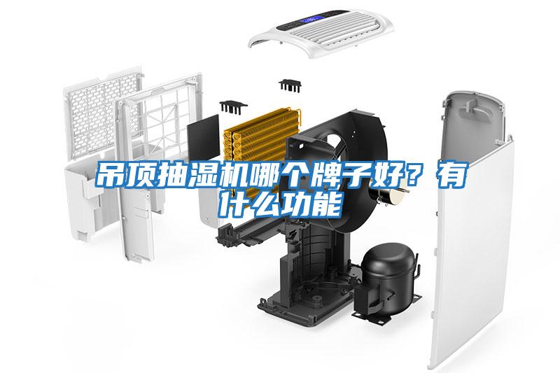 吊頂抽濕機哪個牌子好？有什么功能