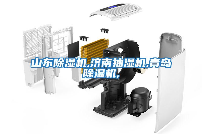 山東除濕機,濟南抽濕機,青島除濕機,