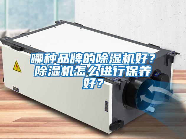 哪種品牌的除濕機(jī)好？除濕機(jī)怎么進(jìn)行保養(yǎng)好？