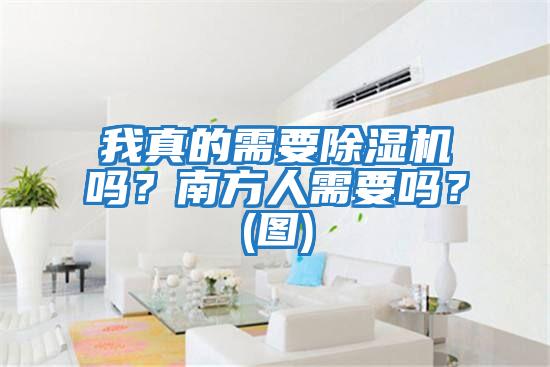 我真的需要除濕機嗎?南方人需要嗎?(圖)