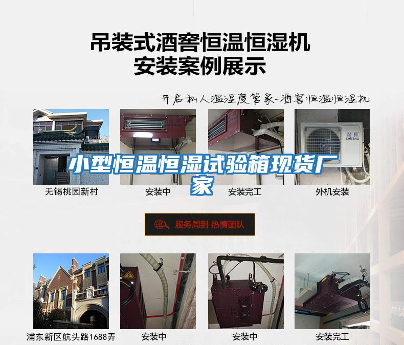 小型恒溫恒濕試驗箱現貨廠家