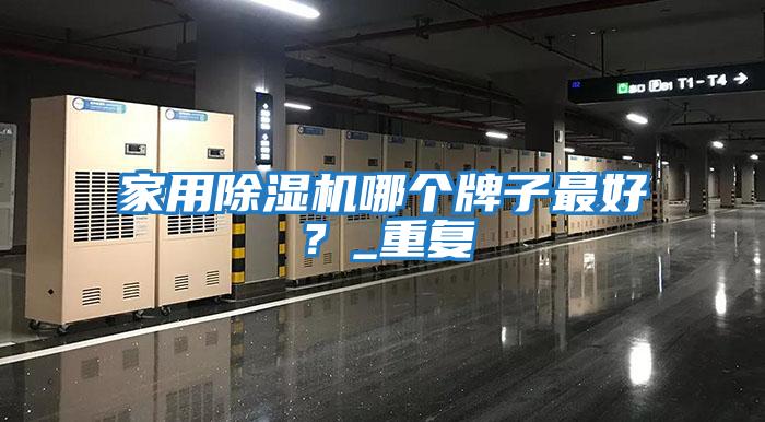 家用除濕機(jī)哪個牌子最好？_重復(fù)