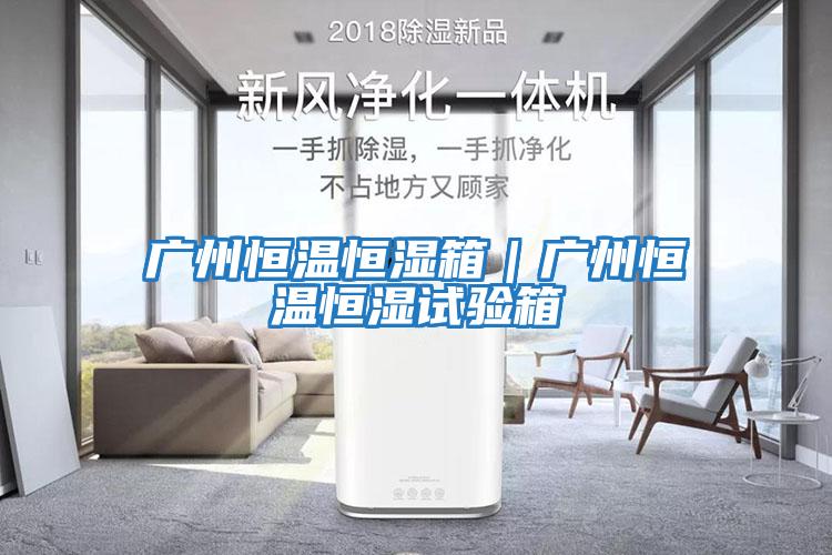 廣州恒溫恒濕箱|廣州恒溫恒濕試驗箱