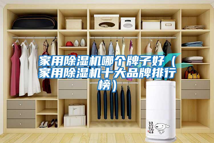 家用除濕機哪個牌子好（家用除濕機十大品牌排行榜）