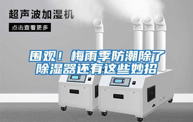 圍觀!梅雨季防潮除了除濕器還有這些妙招