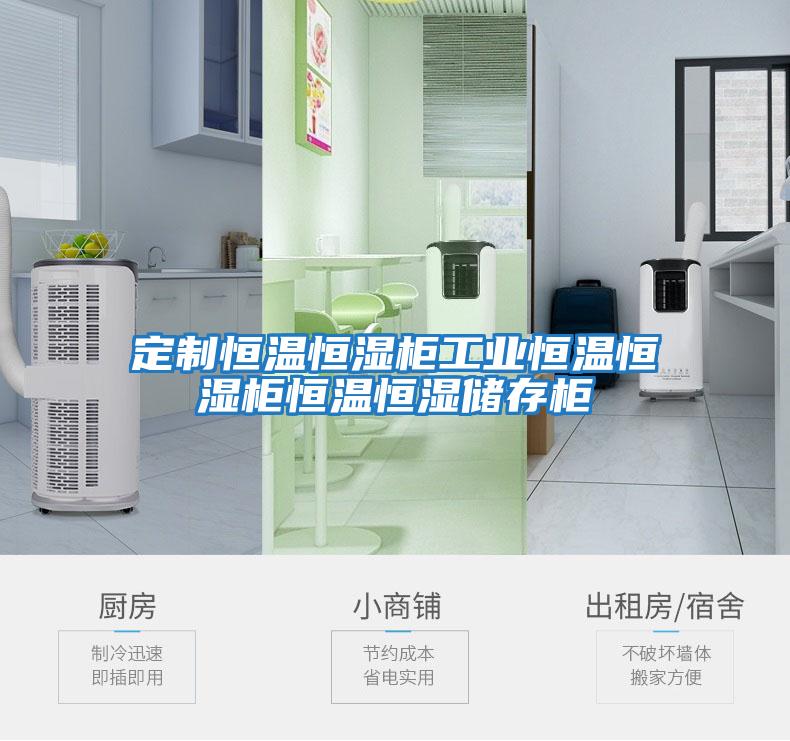 定制恒溫恒濕柜工業恒溫恒濕柜恒溫恒濕儲存柜