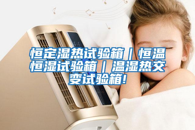 恒定濕熱試驗箱|恒溫恒濕試驗箱|溫濕熱交變試驗箱!
