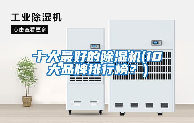 十大最好的除濕機(10大品牌排行榜？)