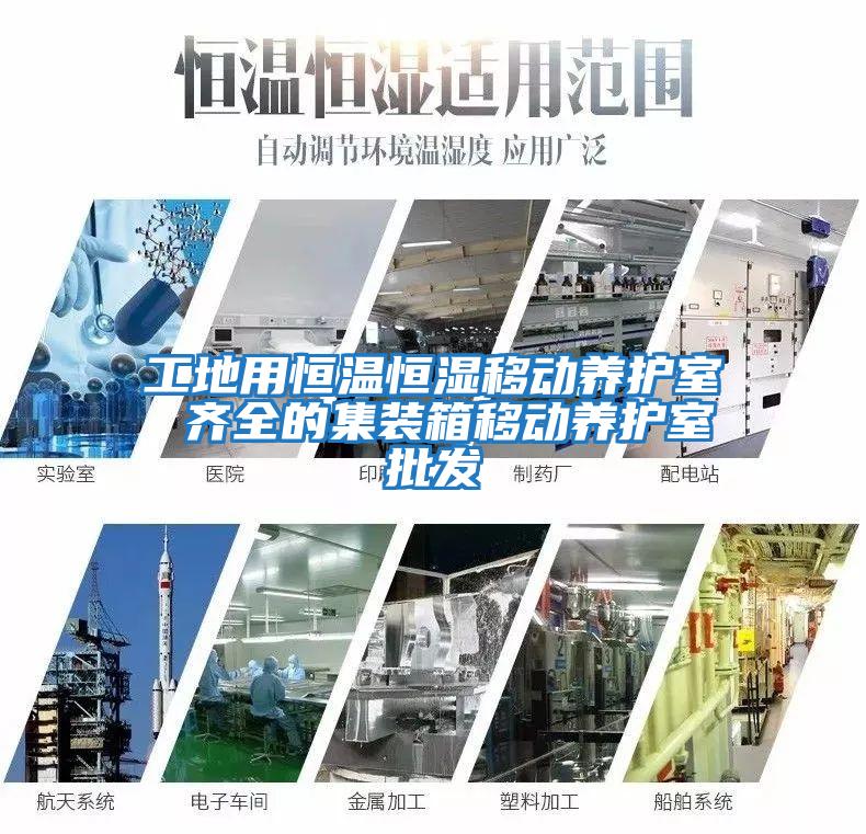 工地用恒溫恒濕移動養護室 齊全的集裝箱移動養護室批發