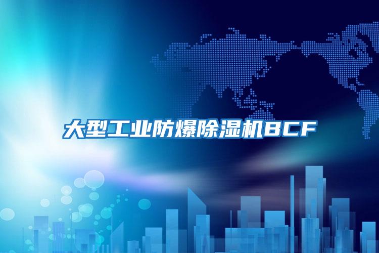 大型工業防爆除濕機BCF
