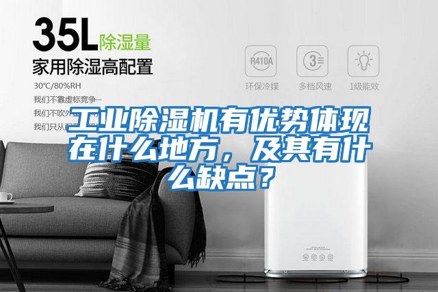 工業(yè)除濕機有優(yōu)勢體現(xiàn)在什么地方，及其有什么缺點？