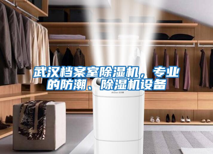 武漢檔案室除濕機,專業的防潮、除濕機設備