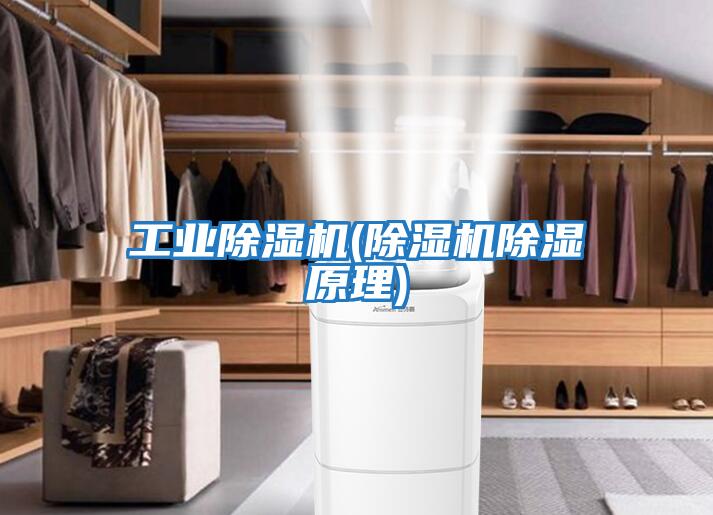 工業除濕機(除濕機除濕原理)