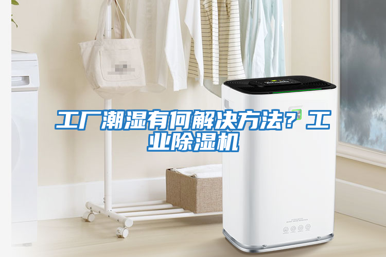 工廠潮濕有何解決方法？工業除濕機