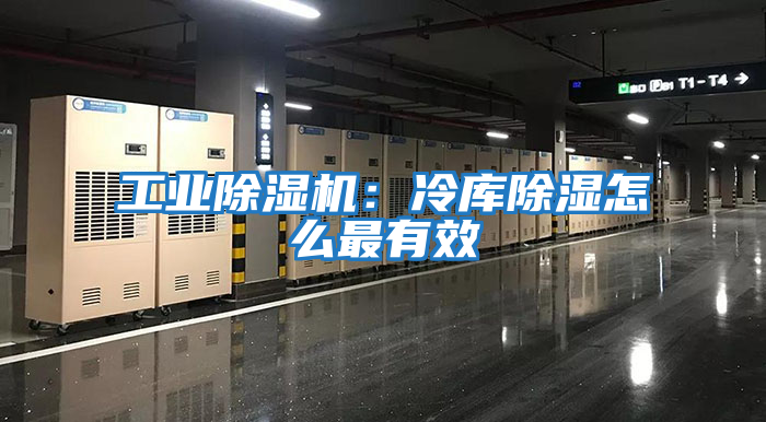 工業除濕機:冷庫除濕怎么最有效