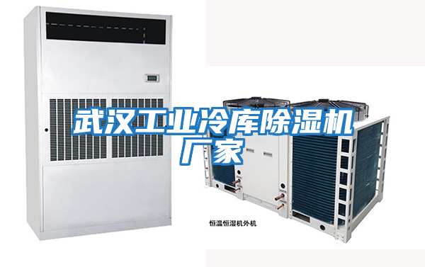 武漢工業冷庫除濕機廠家