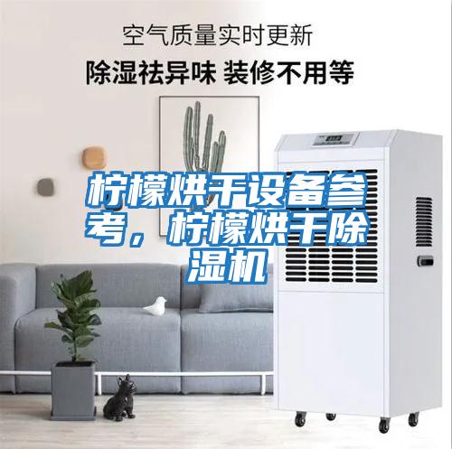 檸檬烘干設備參考,檸檬烘干除濕機