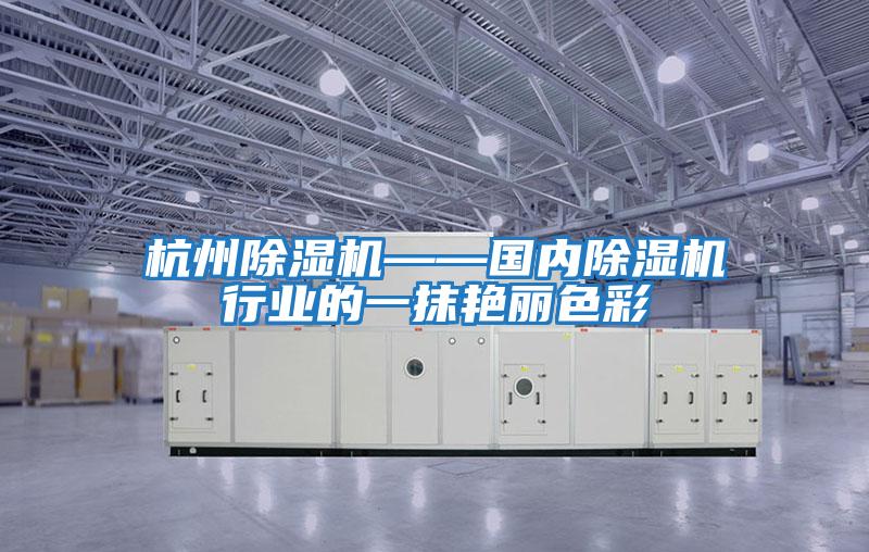 杭州除濕機——國內除濕機行業的一抹艷麗色彩