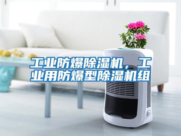 工業(yè)防爆除濕機，工業(yè)用防爆型除濕機組