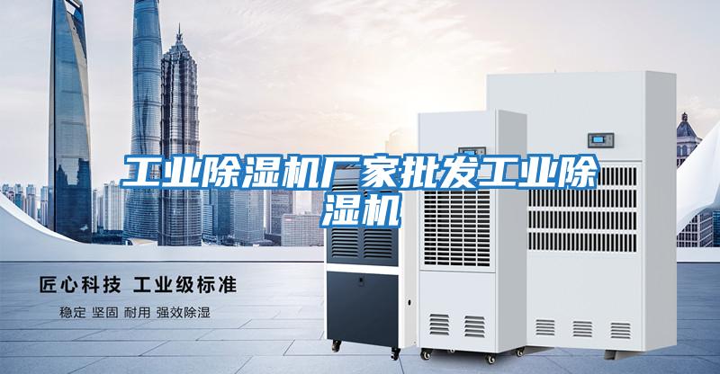 工業(yè)除濕機廠家批發(fā)工業(yè)除濕機