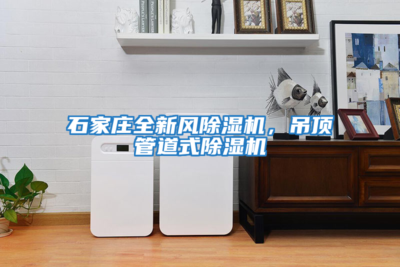 石家莊全新風除濕機，吊頂管道式除濕機