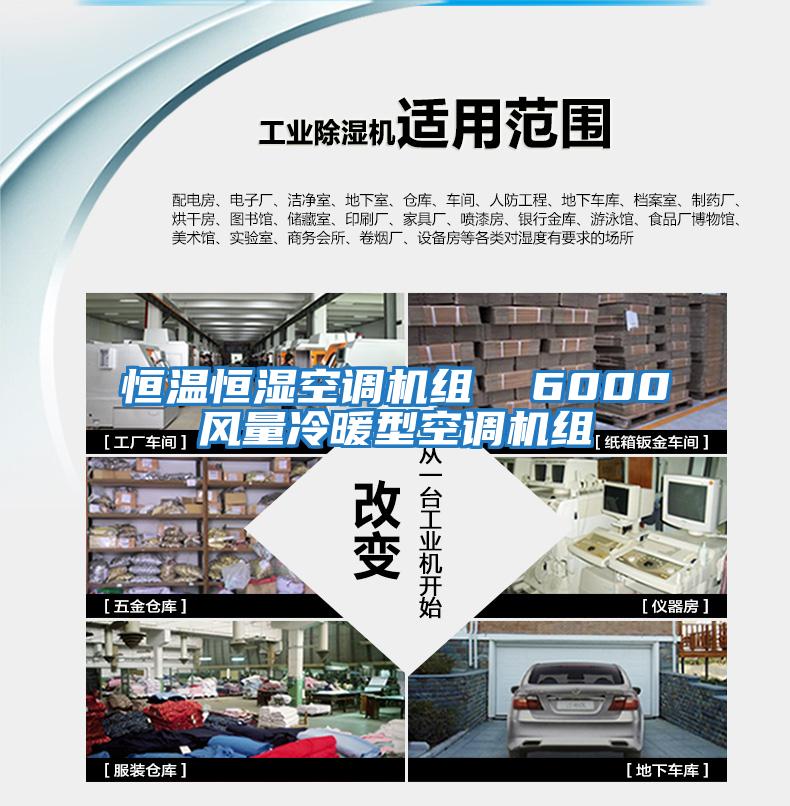 恒溫恒濕空調機組  6000風量冷暖型空調機組