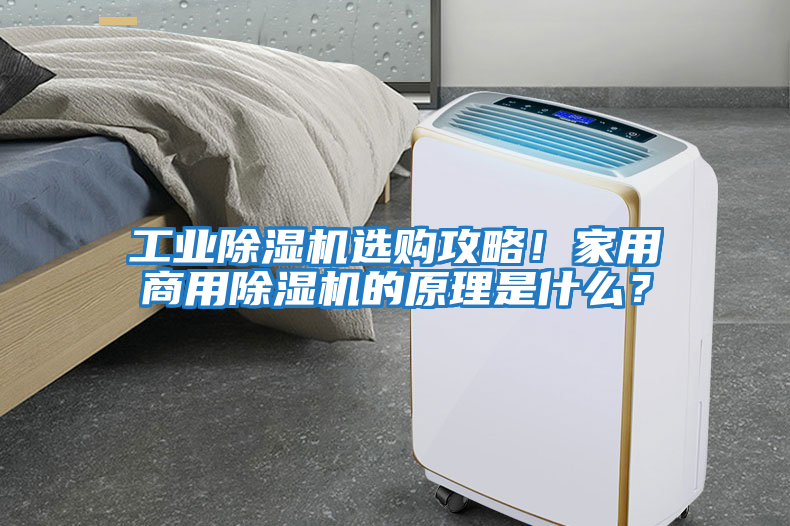 工業除濕機選購攻略！家用商用除濕機的原理是什么？