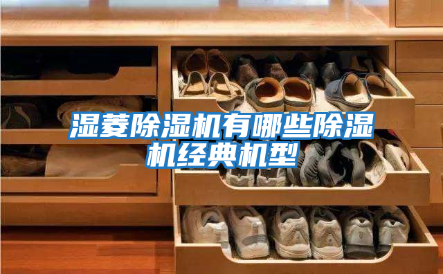 濕菱除濕機(jī)有哪些除濕機(jī)經(jīng)典機(jī)型