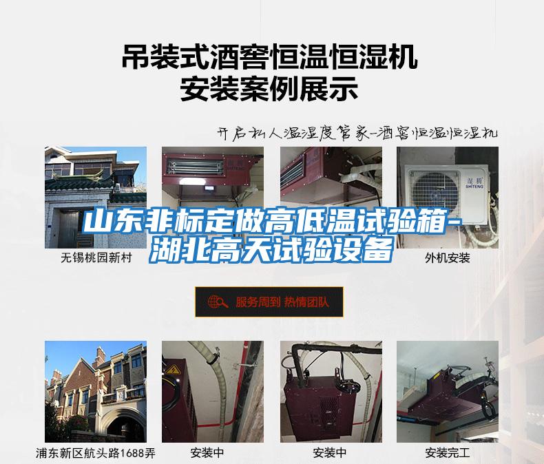 山東非標定做高低溫試驗箱-湖北高天試驗設備