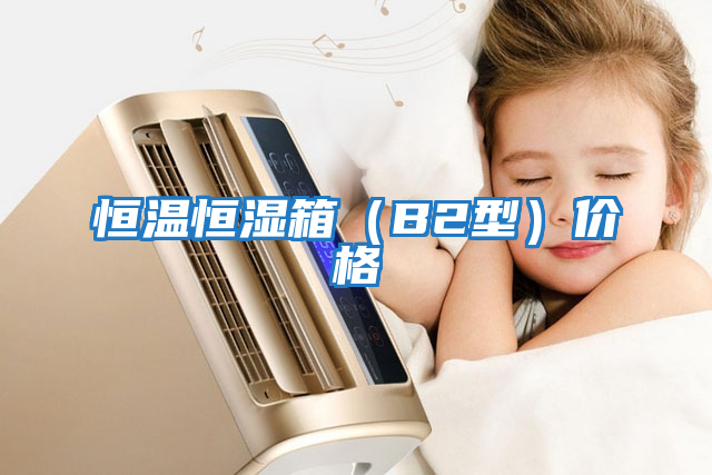 恒溫恒濕箱(B2型)價格