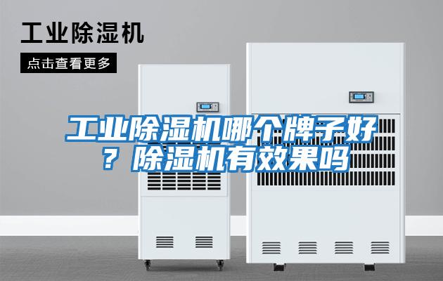 工業除濕機哪個牌子好？除濕機有效果嗎
