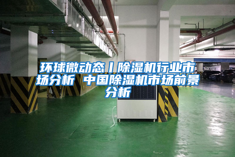 環(huán)球微動(dòng)態(tài)丨除濕機(jī)行業(yè)市場(chǎng)分析 中國(guó)除濕機(jī)市場(chǎng)前景分析