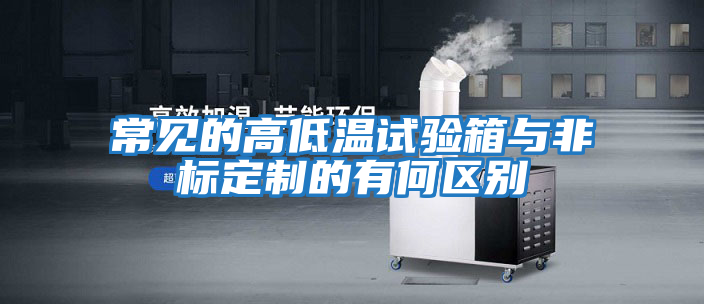 常見的高低溫試驗箱與非標定制的有何區別