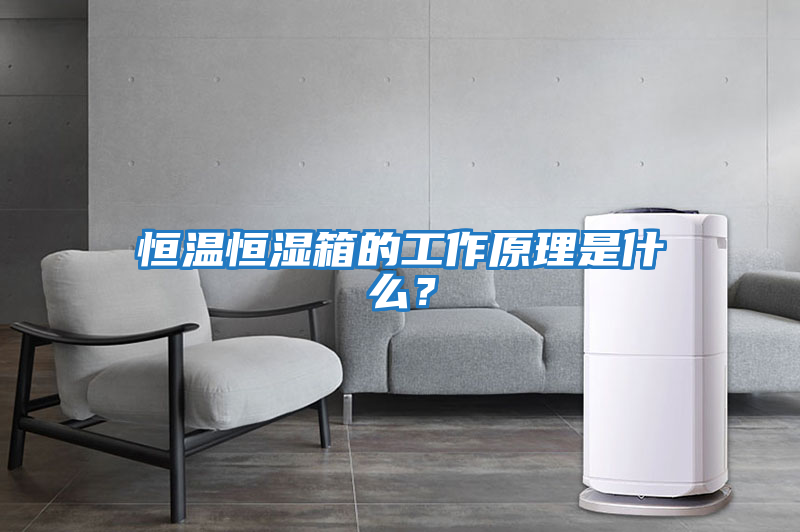 恒溫恒濕箱的工作原理是什么?
