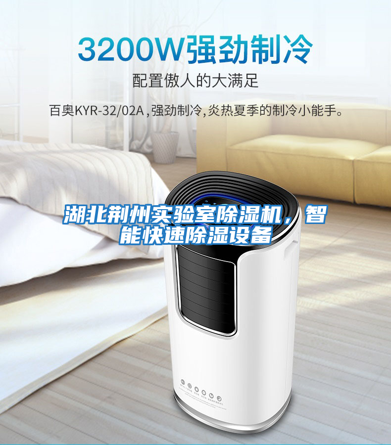 湖北荊州實驗室除濕機,智能快速除濕設(shè)備