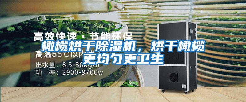 橄欖烘干除濕機(jī)，烘干橄欖更均勻更衛(wèi)生