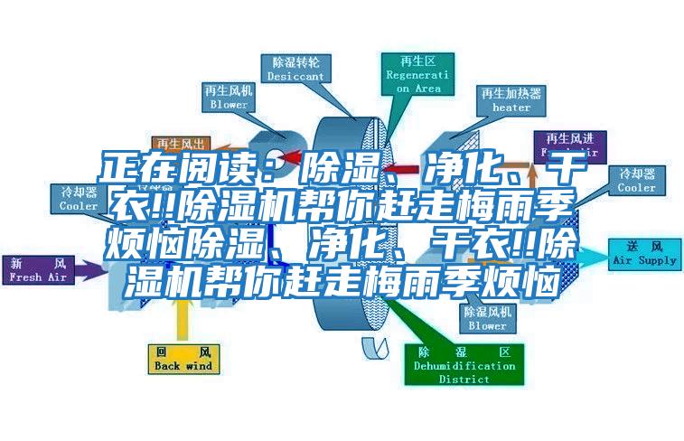正在閱讀:除濕、凈化、干衣!!除濕機幫你趕走梅雨季煩惱除濕、凈化、干衣!!除濕機幫你趕走梅雨季煩惱