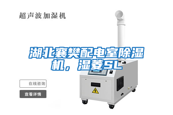 湖北襄樊配電室除濕機,濕菱SL
