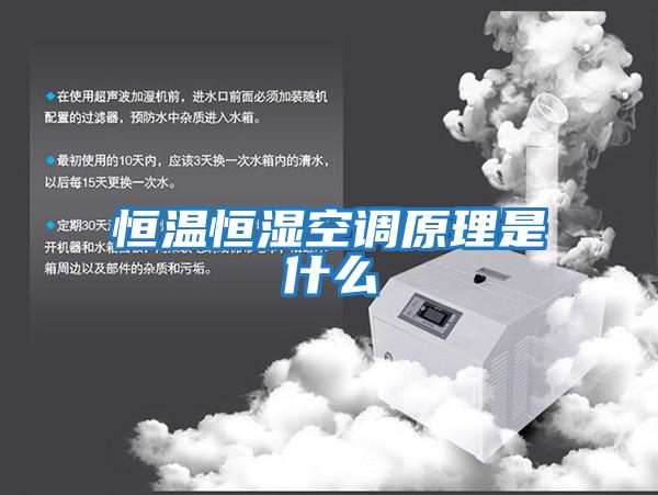 恒溫恒濕空調原理是什么